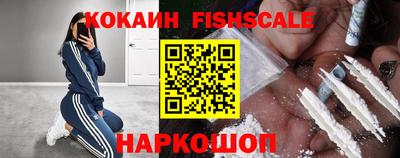 гашик Гатчина