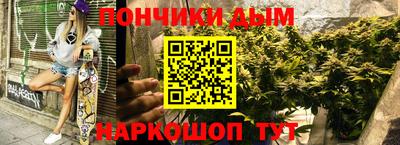 гашик Гатчина