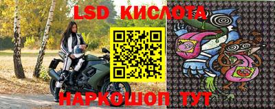 дживик Гай