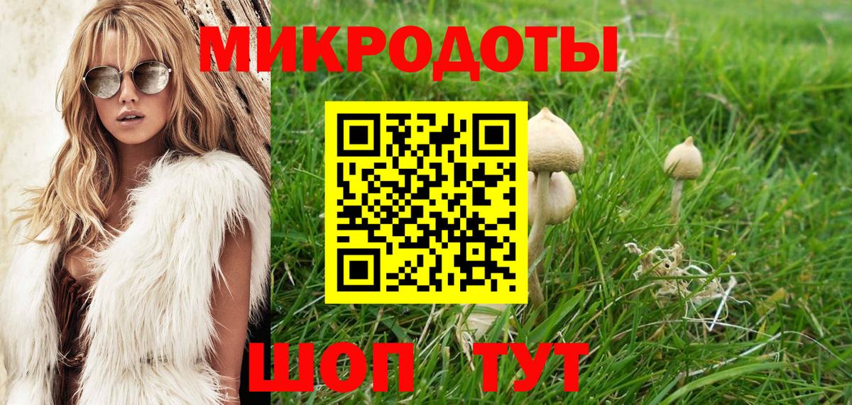 Псилоцибиновые грибы Cubensis Менделеевск