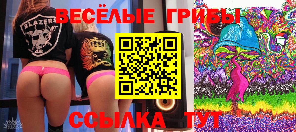 Менделеевск  даркнет сайт  Вход с VPN  Галлюциногенные грибы Magic Shrooms  Галлюциногенные грибы Psilocybine cubensis 